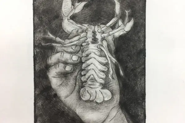 CRAY FISH Zinc Etching - Lucy Lee