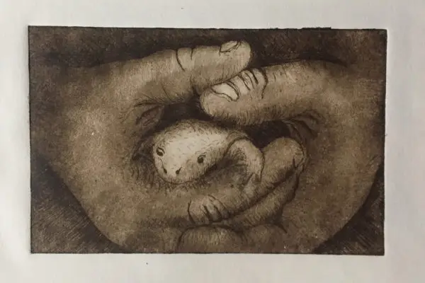 FROG Zinc Etching - Lucy Lee