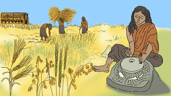 Origin of the Wheel