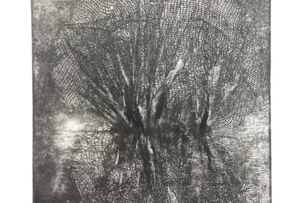 TREES Zinc Etching - Lucy Lee