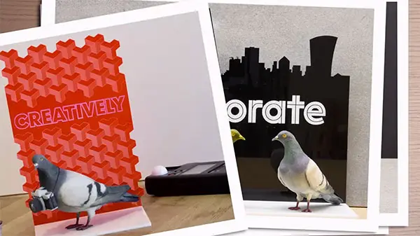 PigeonAtWork_Lucy Lee Animation