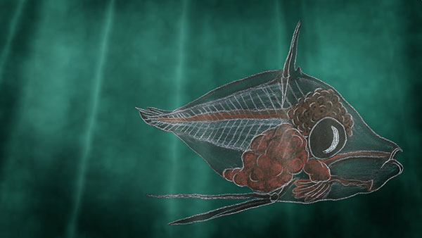 Secret Lives of Fish - Lucy Lee